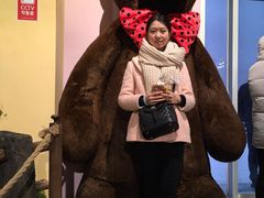 -济州岛泰迪熊博物馆