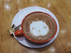 -猫色咖啡·猫咖