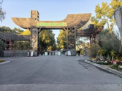 -溱湖国家湿地公园