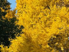 -狼山风景名胜区