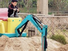 -菊园百果园