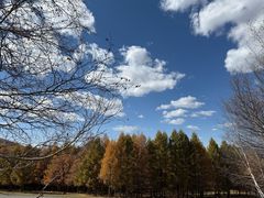 -克什克腾世界地质公园青山景区