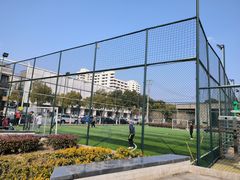 -南翔镇银翔湖公园