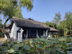 -红梅公园