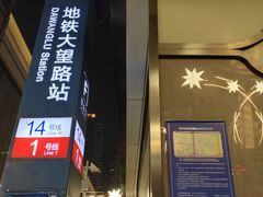 -大望路(地铁站)