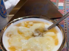 -古树酸奶(八廓南街店)