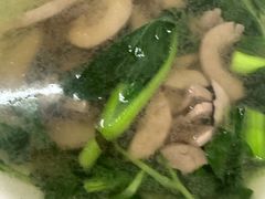 -老虎面馆