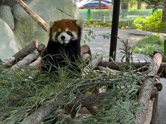 -常州淹城野生动物世界