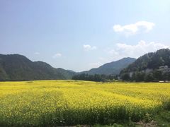 -新安江山水画廊风景区
