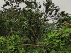 -樱桃山旅游景区