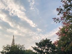 -青岛海滨风景区
