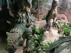 -国家自然博物馆