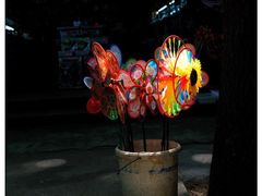 -灵谷景区
