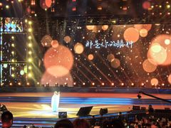 -第35届青岛国际啤酒节