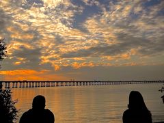 -宝安西湾红树林湿地公园