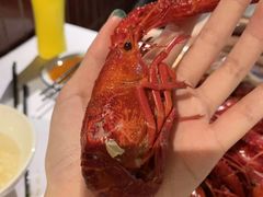 -文和友老长沙龙虾馆(化龙池店)