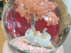 -飞行喵MR PILOT|猫舍·猫咖(静安大融城店)
