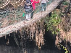 -千岛湖东南湖区