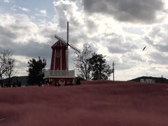 -羊亭河湿地公园