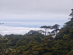 -三清山风景名胜区