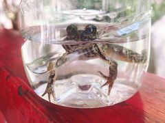 -碓臼峪自然风景区