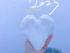 -武陵山森林公园