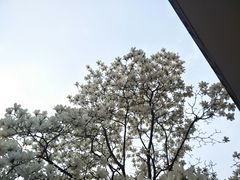 -中国计量大学(西校区)