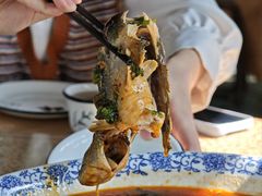 -苏记溪河鲢鱼庄(天府新区店)