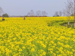 -径山花海