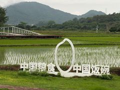 -风云岭森林公园
