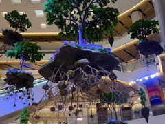 -蝶园·装修中(BFC外滩金融中心店)