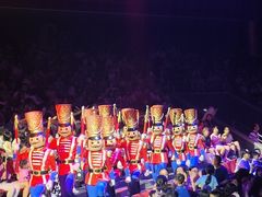 -珠海横琴长隆《卡卡虎奇遇记》