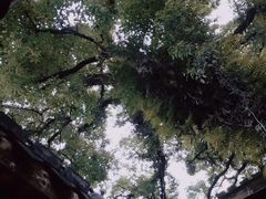 -星巴克(福州三坊七巷店)