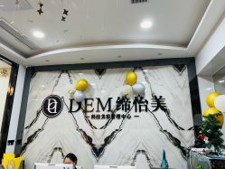 -DEM缔怡美科技美容