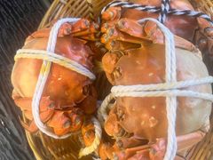 -蟹天蟹地农家菜·阳澄湖大闸蟹(浅水湾店)
