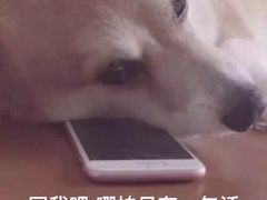 -中国传媒大学南广学院第3食堂