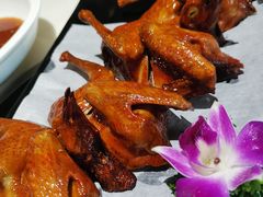 红烧乳鸽-石头咕(葵蓬店)