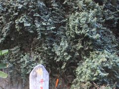 -香格里拉大峡谷巴拉格宗国家级风景名胜区丽江中旅旅游质量服务点