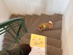 -春风十里咖啡馆