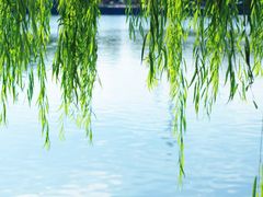 -上海交通大学(闵行校区)