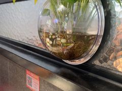 -渝乡辣婆婆·川菜 水煮鱼(中山西路店)