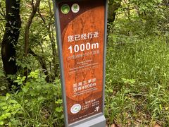 -惠山国家森林公园