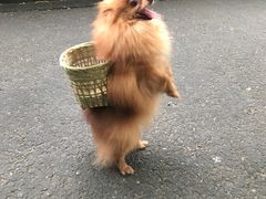 -三哥田螺(北书院街店)