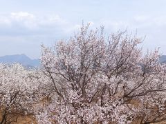 -龙泉峪长城