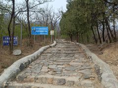 -阳台山自然风景区