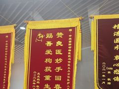 -中农国际动物医院24小时·猫科·骨科·急重症中心