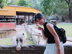 -清迈夜间动物园