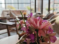 -浅深Cheersum(曹杨店)