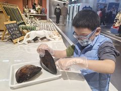 -十八字金银饰·拼豆·开蚌手工体验团建(君太百货店)