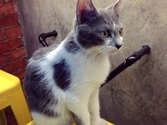 iphone_upload_pic-MIKAKU(万达广场上海宝山店)